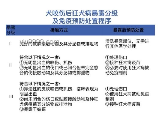 女生河边散步遭蝮蛇咬伤：急救、防范与生态趋势分析